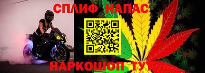 мяу мяу мука Кимры