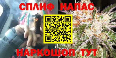 мяу мяу мука Кимры