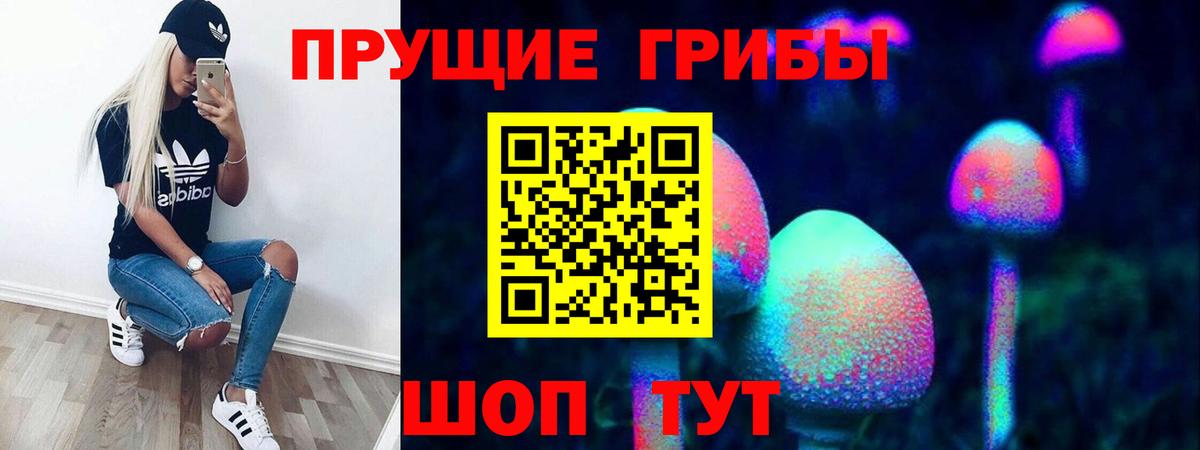 Кострома  Псилоцибиновые грибы мухоморы  Вход с VPN  Псилоцибиновые грибы мицелий 