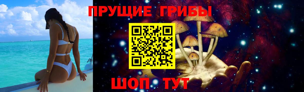 Галлюциногенные грибы Psilocybine cubensis Кострома